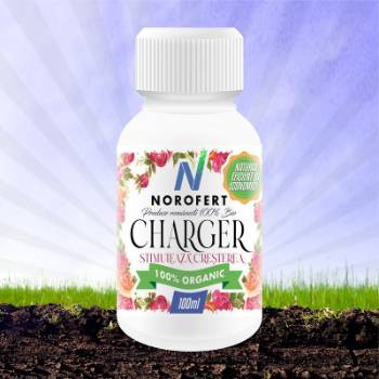 Charger Norofert - Biostimulator organic pentru flori